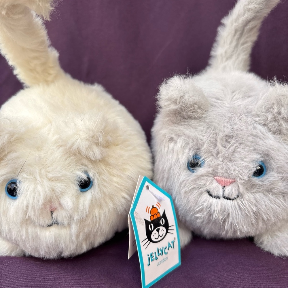 Jellycat Kittens CABOODLE Cream & Grey bundle of 2 Both Retired & Rare blue eyes - Picture 2 of 9